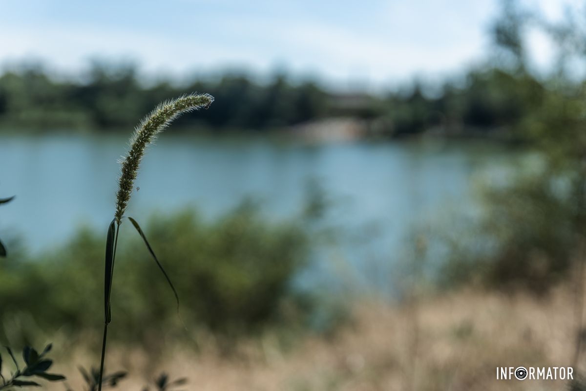 Семьи приносили с собой еду и напитки, устраивая пикники на природе