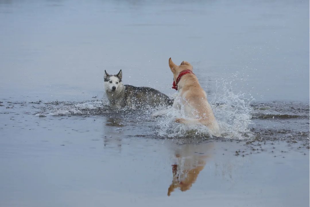 Фото: @galetskaya_olga Фото: @galetskaya_olga