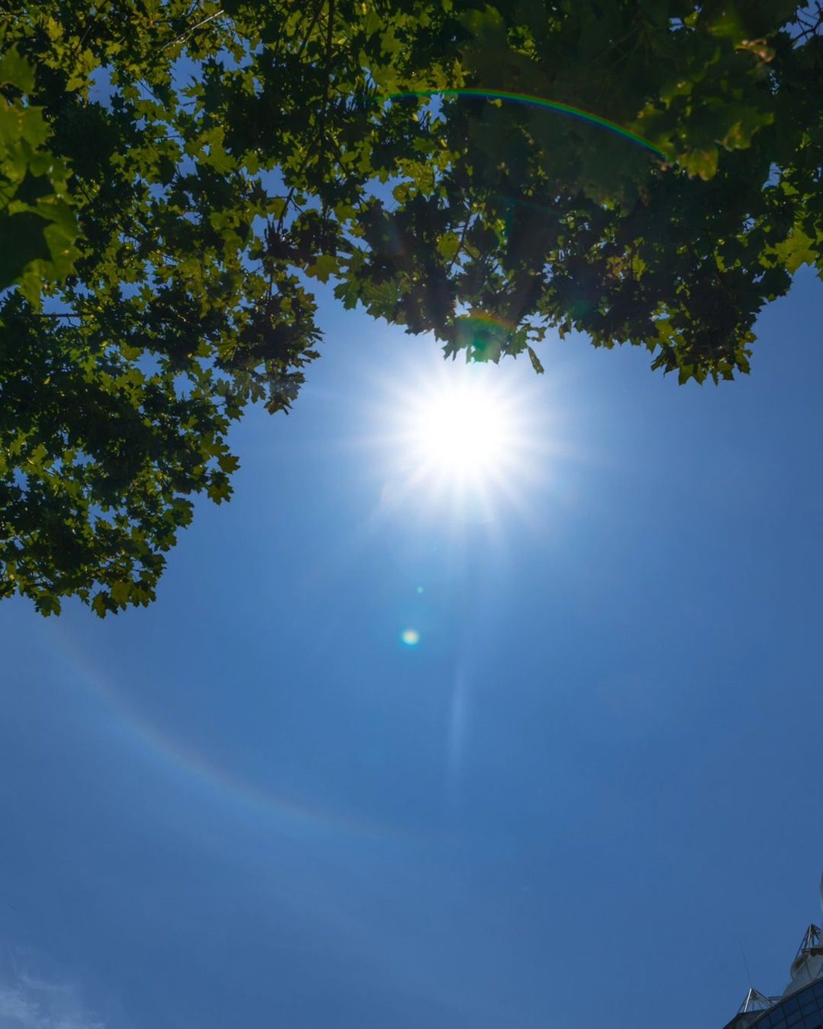 Фото: @ph_deniska Фото: @ph_deniska