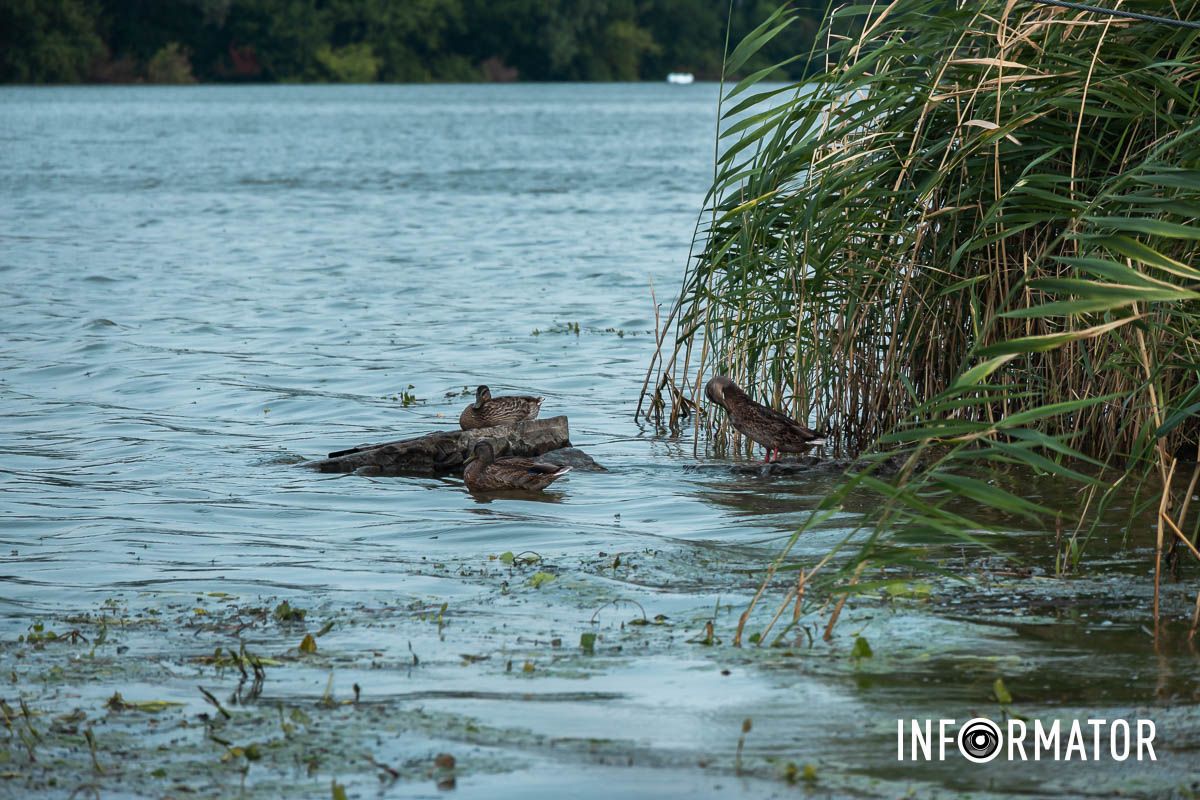 Мабуть в небі є діра.