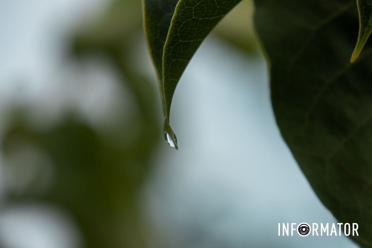 Хто зробити її зміг,