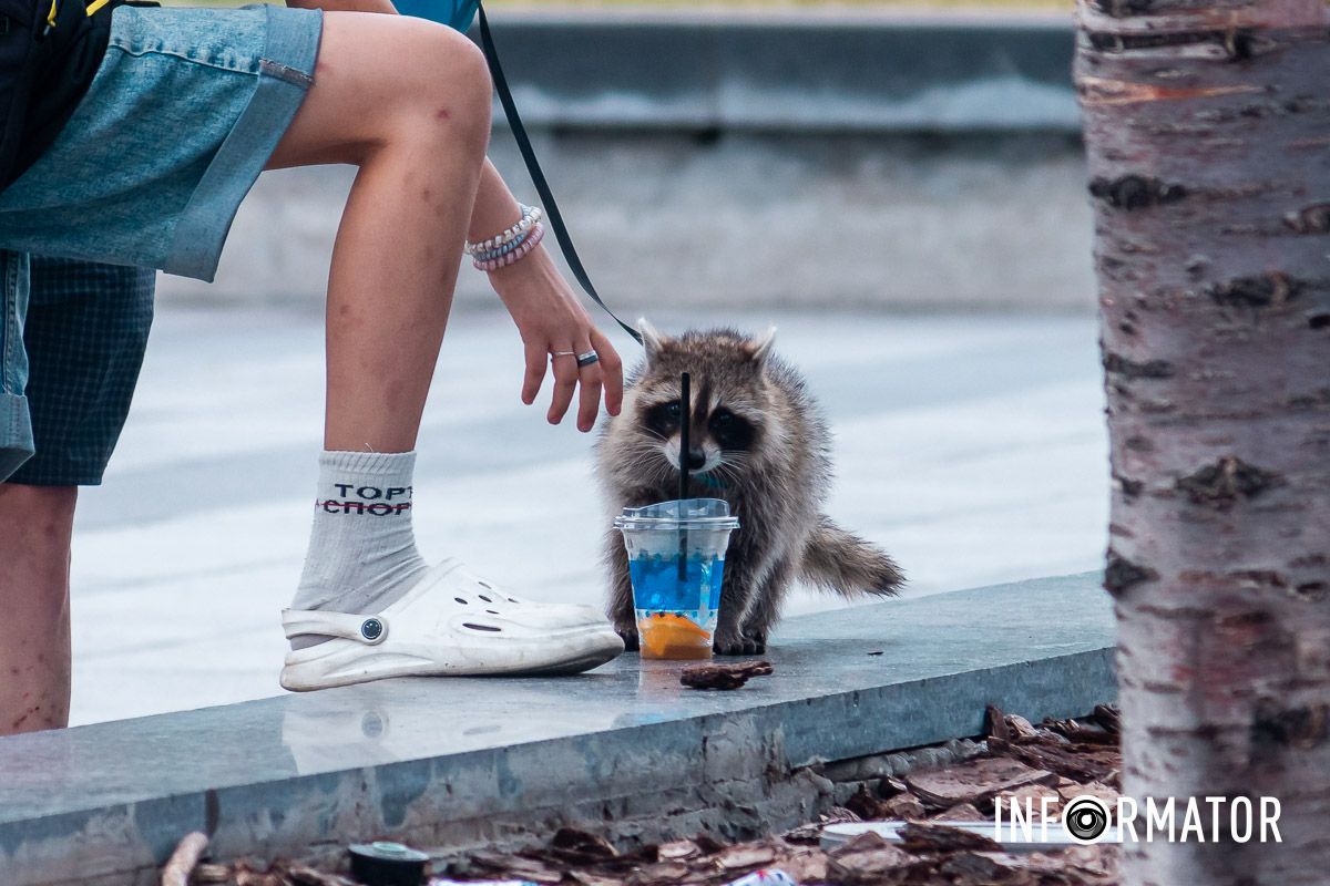 Наробили в небі дір.