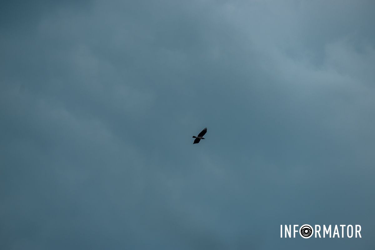 Дощик раптом перестав...