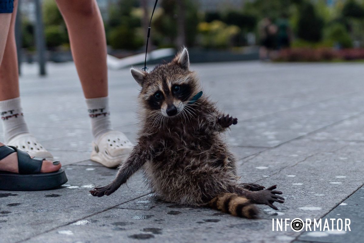 Запитали: — Є ноти?