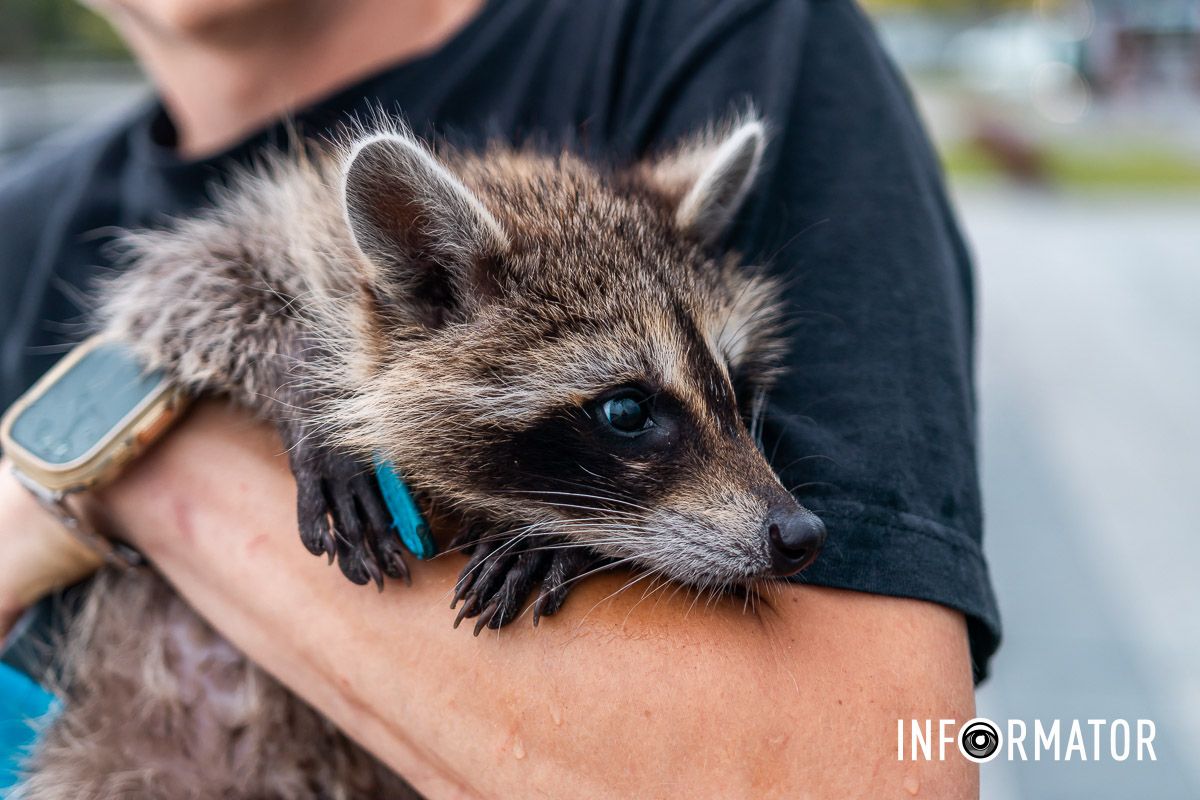 — Є ноти, є ноти,