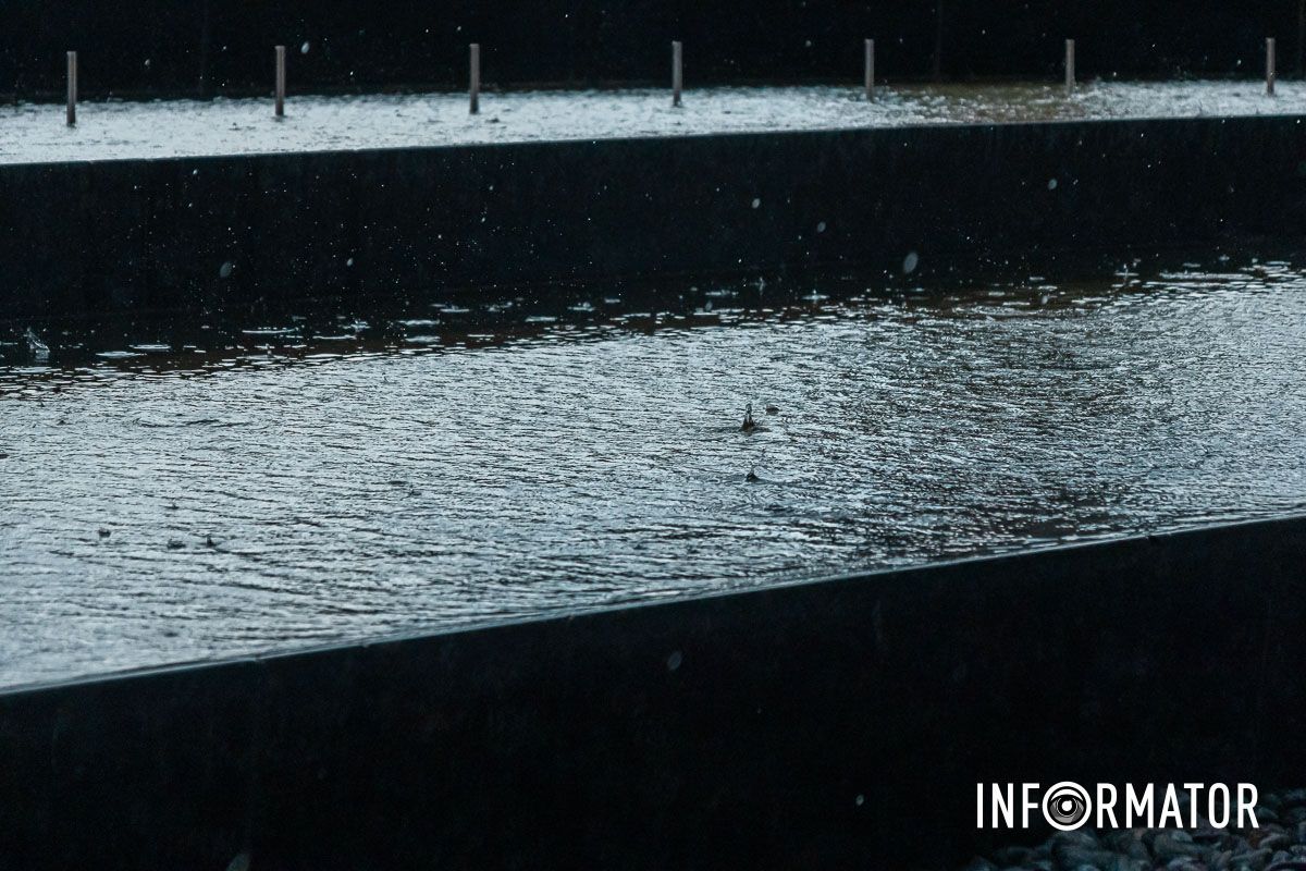 Проміння сонця їх позолотило,