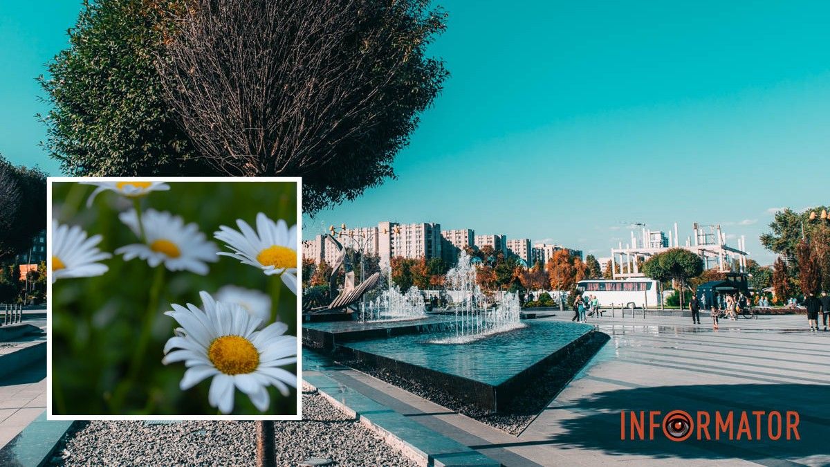 Погода на 25 липня: у Дніпрі буде ясно