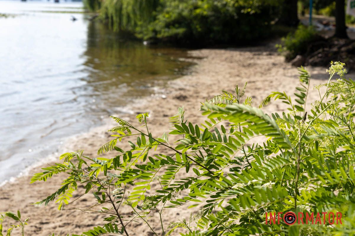 Фото: Дмитрий Дворский В Днепре вода в реках отошла от берега на несколько метров: репортаж Информатора 24