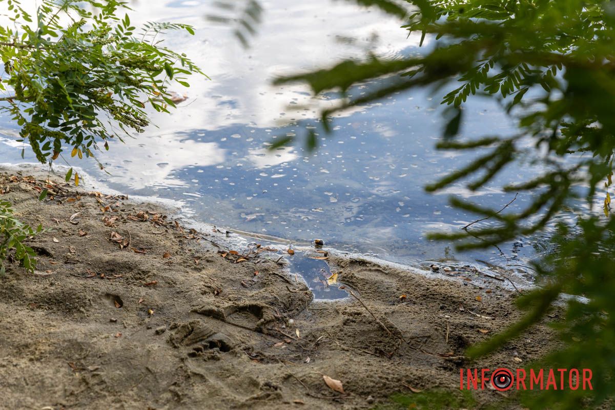 Здесь ходили люди В Днепре вода в реках отошла от берега на несколько метров: репортаж Информатора 23