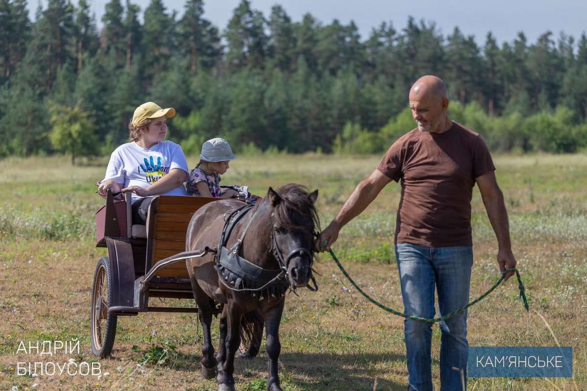 Спілкування та взаємодія з конями: у Кам’янському ввели програму іповенції 2