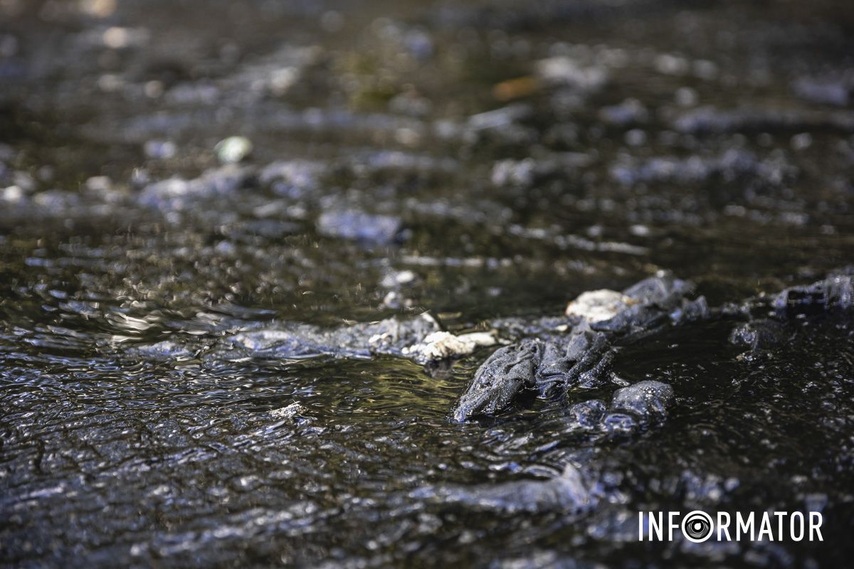 Стоит ужасная вонь: в Днепре на Набережной Победы улицу заливает черной водой с фекалиями 6