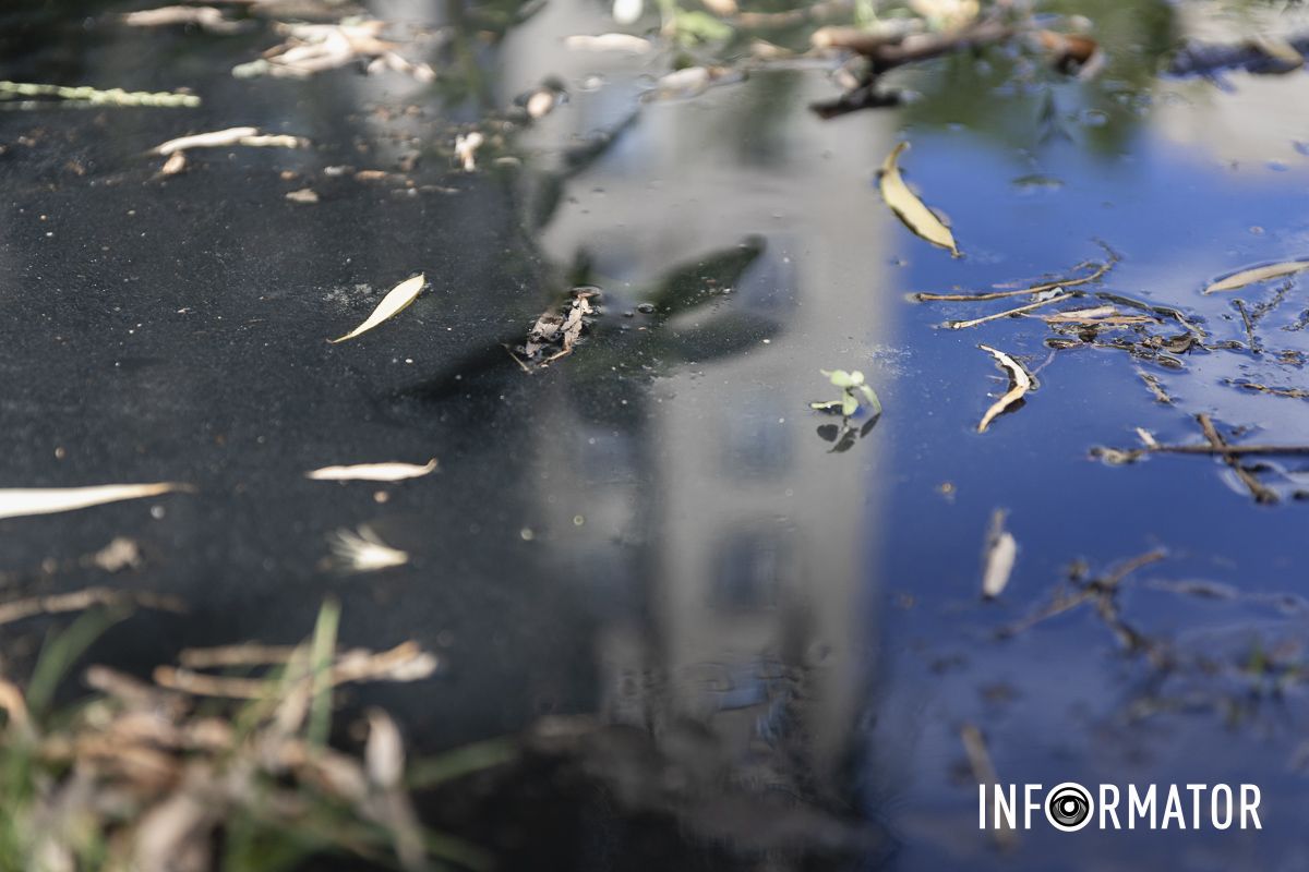 Стоит ужасная вонь: в Днепре на Набережной Победы улицу заливает черной водой с фекалиями 11