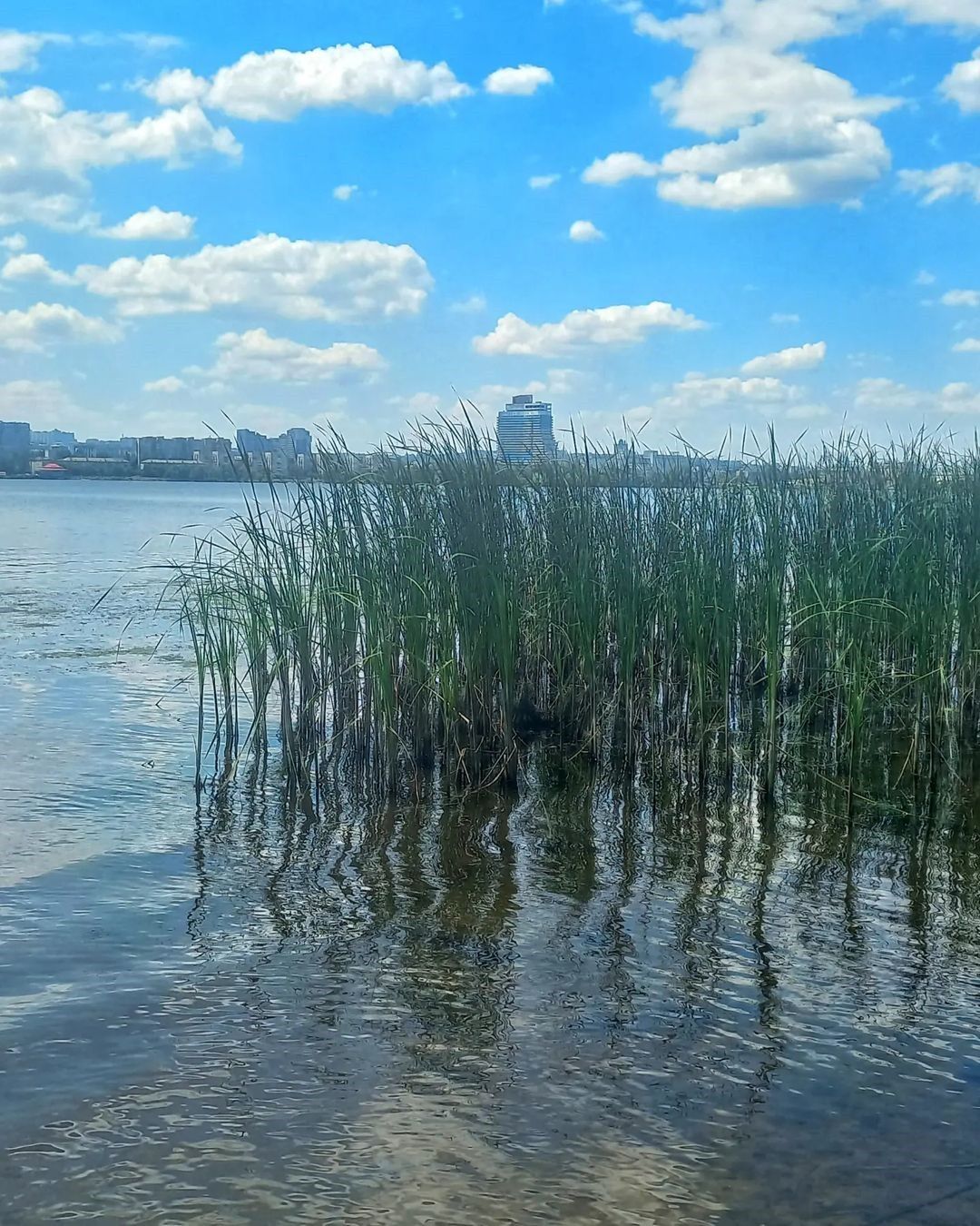 frau_melnyk frau_melnyk