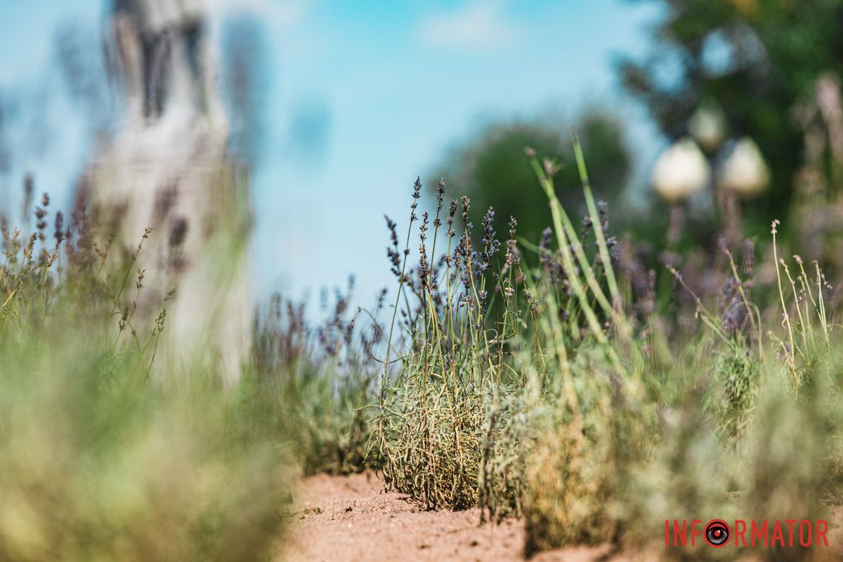 Нам дарували сердець єднання, Нам дарували сердець єднання,