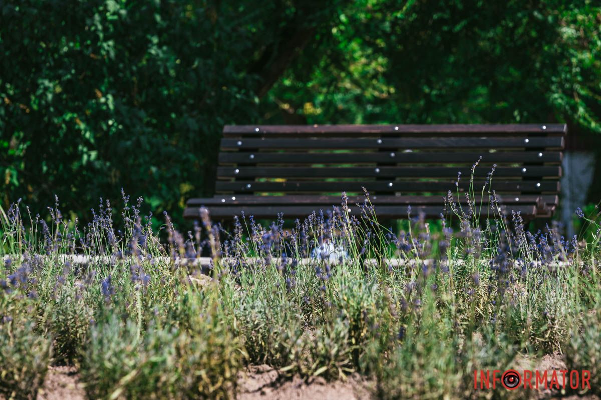 Відкрили квіти нам почуття, Відкрили квіти нам почуття,