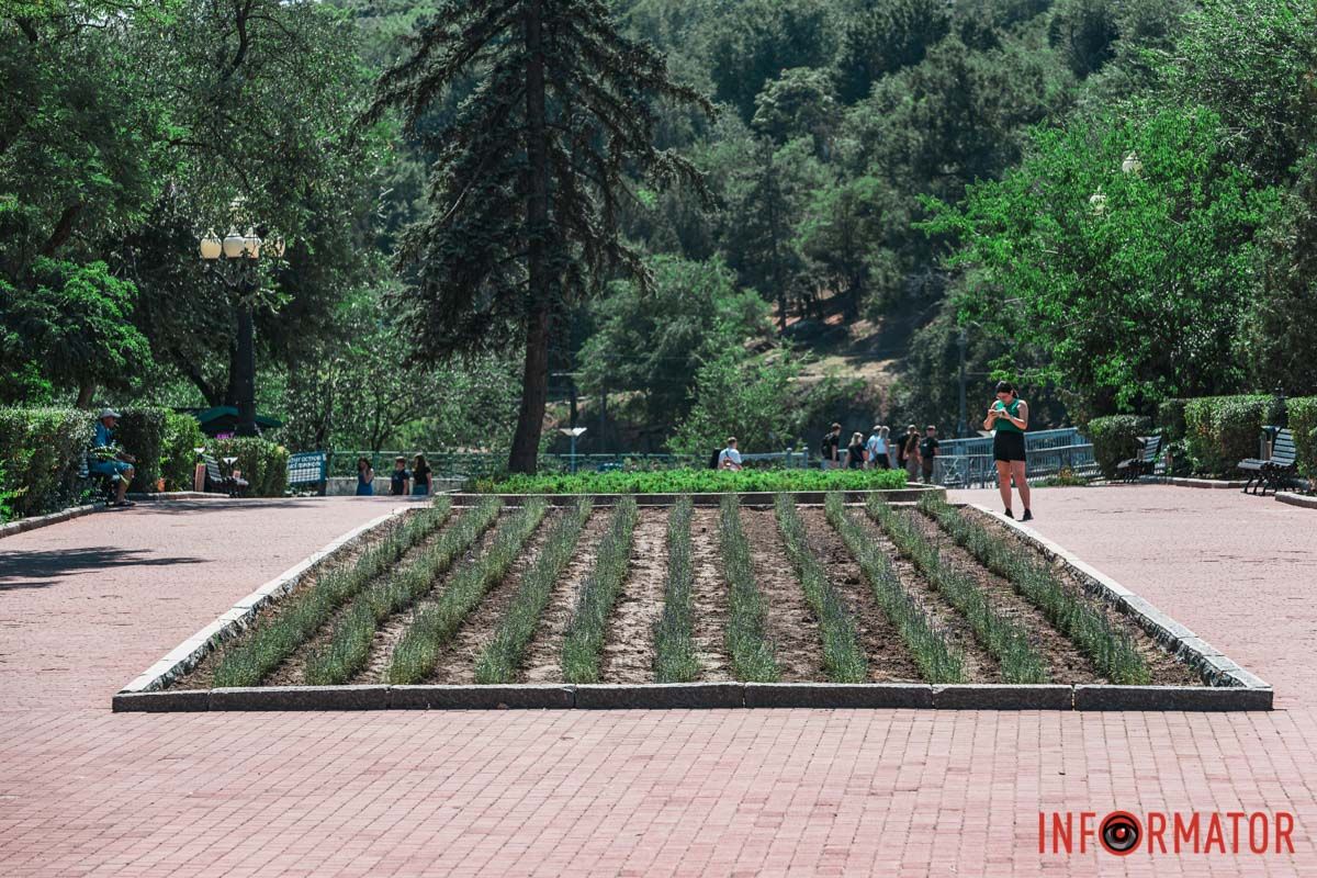 Лаванди просинь Лаванди просинь