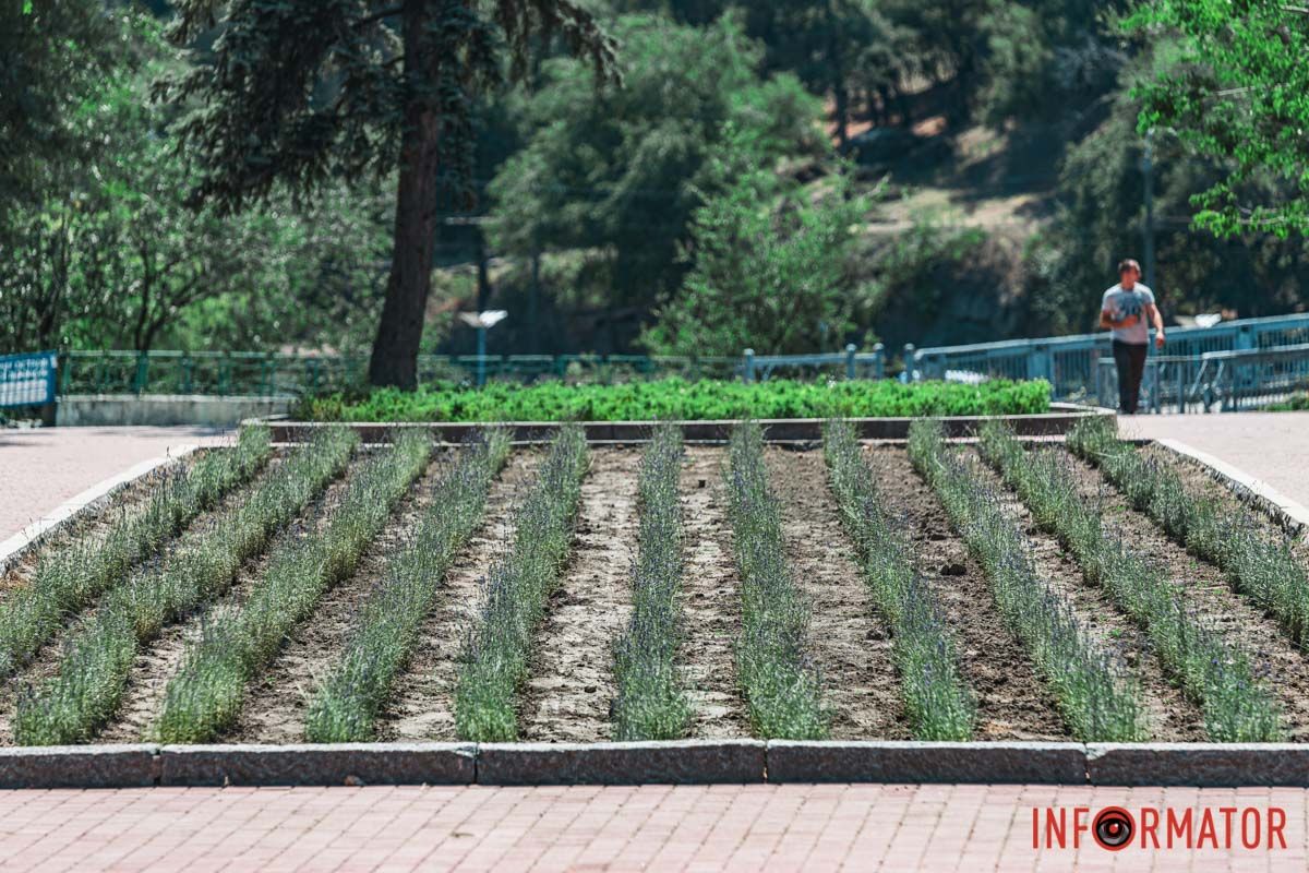 Зустрілись в полі Зустрілись в полі