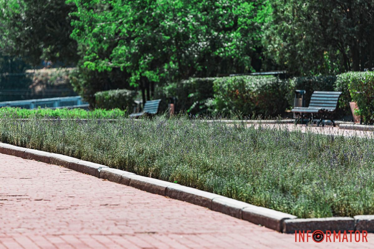 До квітки квітка, До квітки квітка,