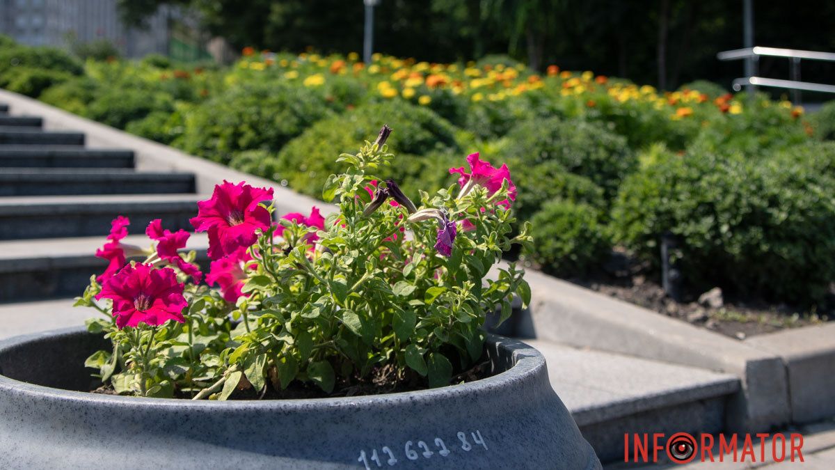 В Днепре облачно с прояснениями: прогноз погоды на 30 июля