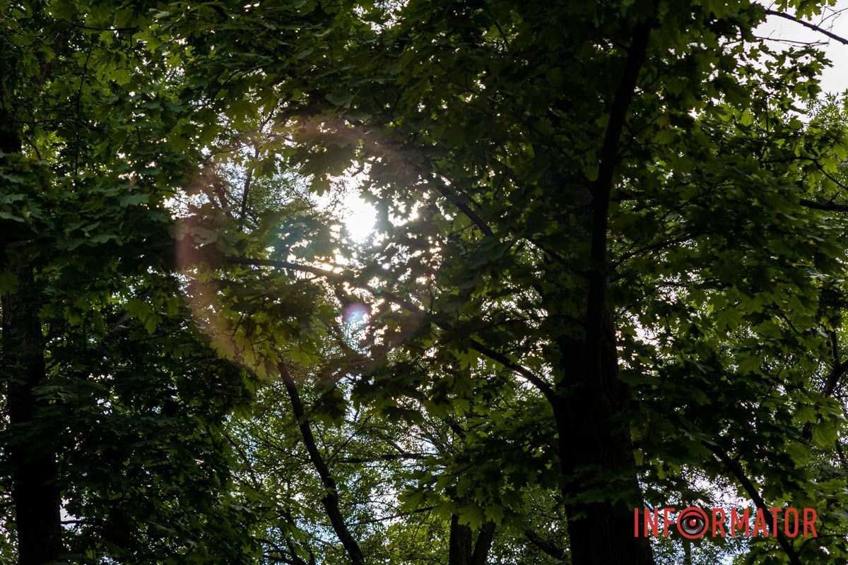 Необычный мир перед мечтательными глазами: Днепр накрыли нежные воздушные облака 7