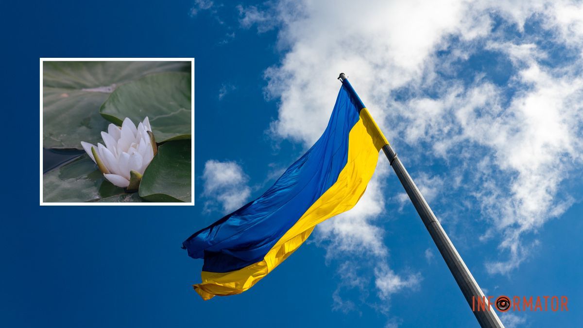 Погода на 31 липня: у Дніпрі буде сонячно