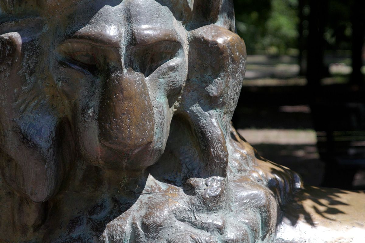 По поверью, студенты, которые готовятся к экзаменам, могут обратиться к статуе льва за помощью По поверью, студенты, которые готовятся к экзаменам, могут обратиться к статуе льва за помощью