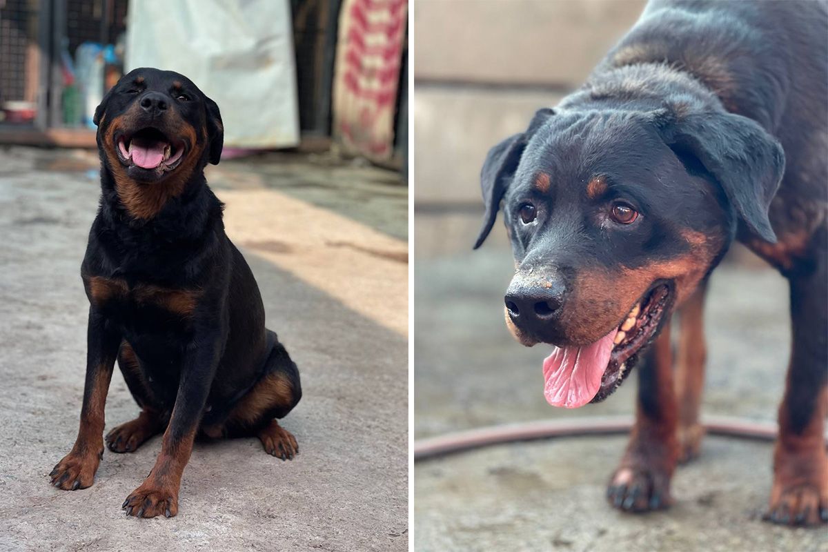 Майк і Джина Майк і Джина