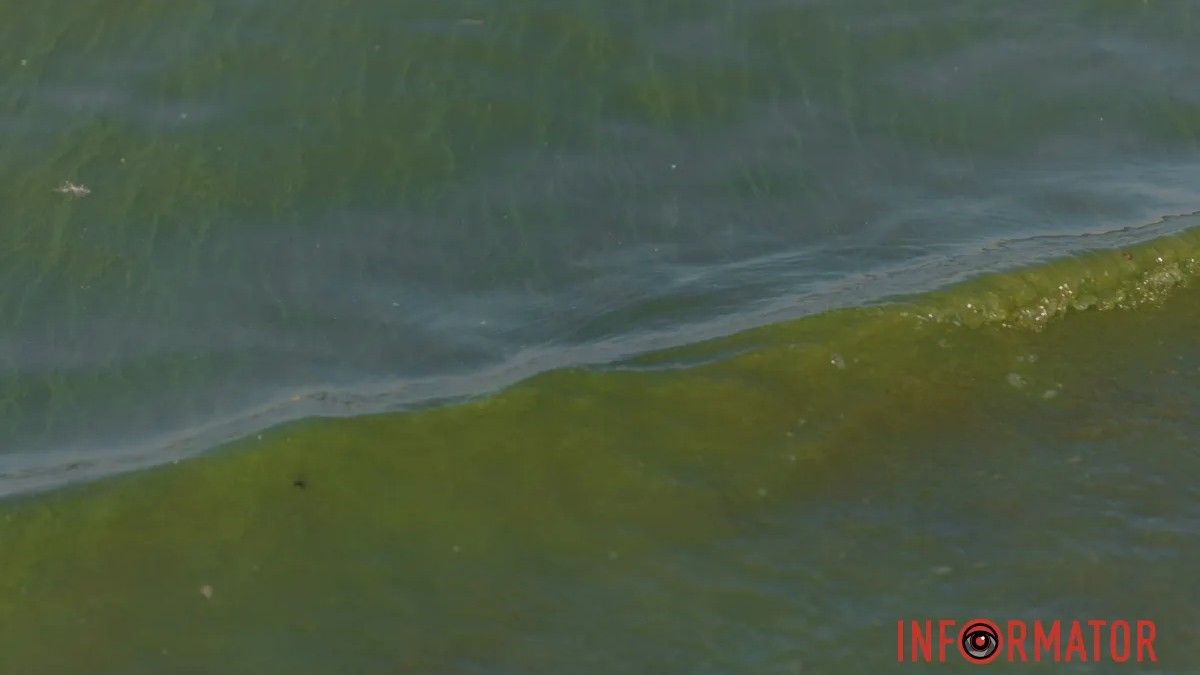 На пляжах Дніпропетровської області перевірили воду: що виявили