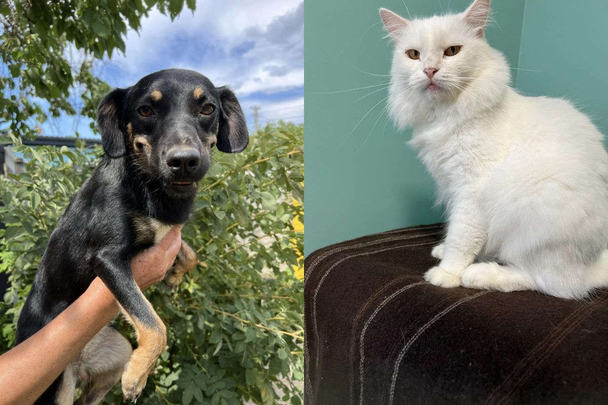 Уважно придивіться до фото Уважно придивіться до фото