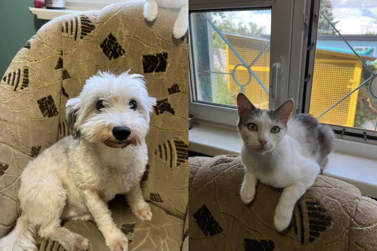 Тільки погляньте в ці оченята Тільки погляньте в ці оченята