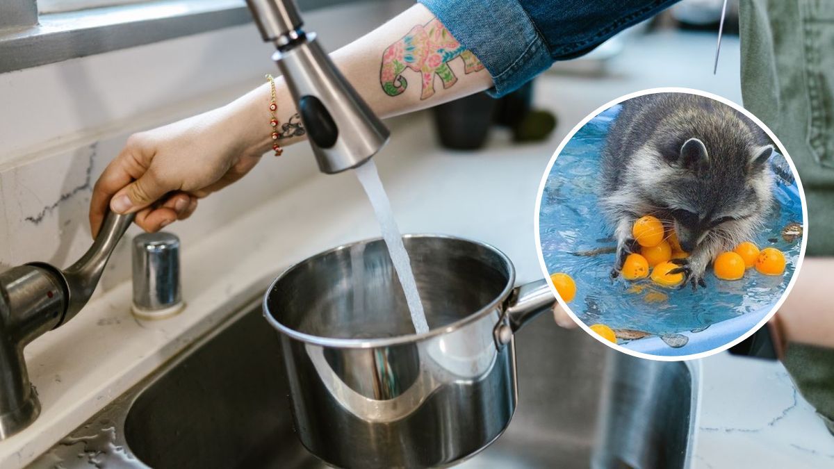 В Днепре 7 августа на некоторых улицах отключили воду: когда восстановят