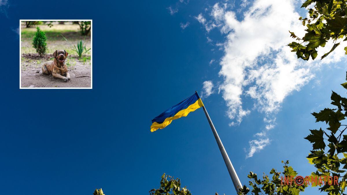 Погода на 15 августа: в Днепре будет слабая облачность