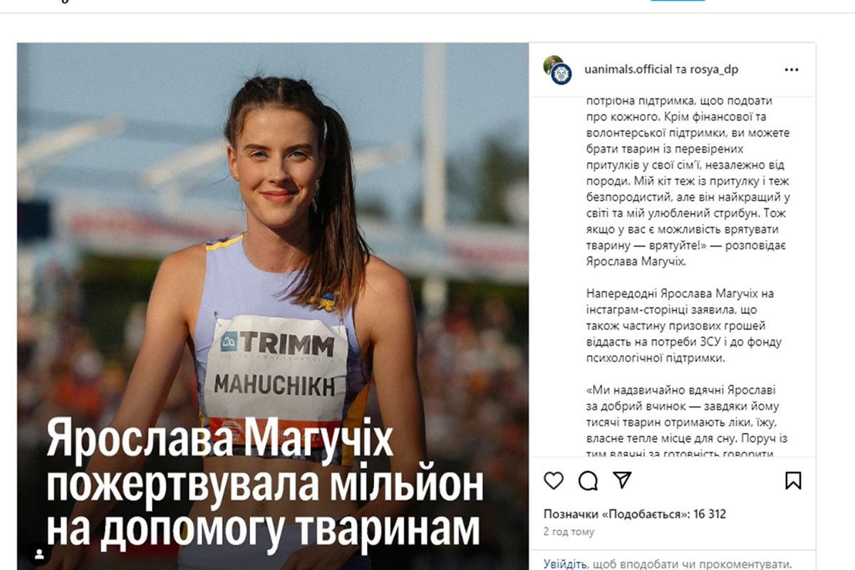 Ярослава Магучих пожертвовала миллион гривен для помощи животным Ярослава Магучих пожертвовала миллион гривен для помощи животным