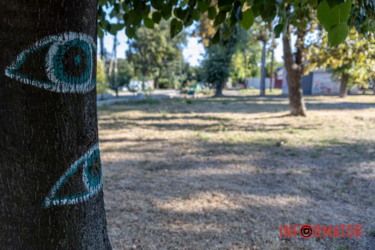 У Дніпрі на Новокримській дитячий сквер «Чижик» потребує оновлення: як він виглядає 20