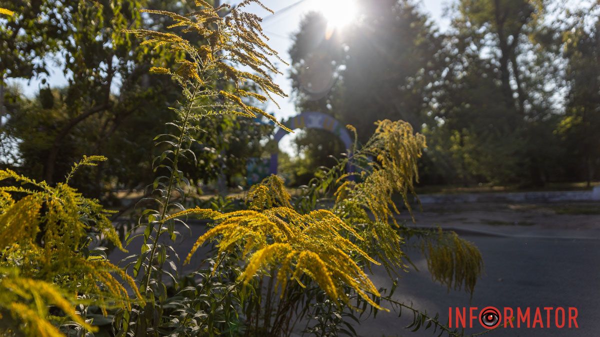 Погода на 17 августа: в Днепре будет ясно