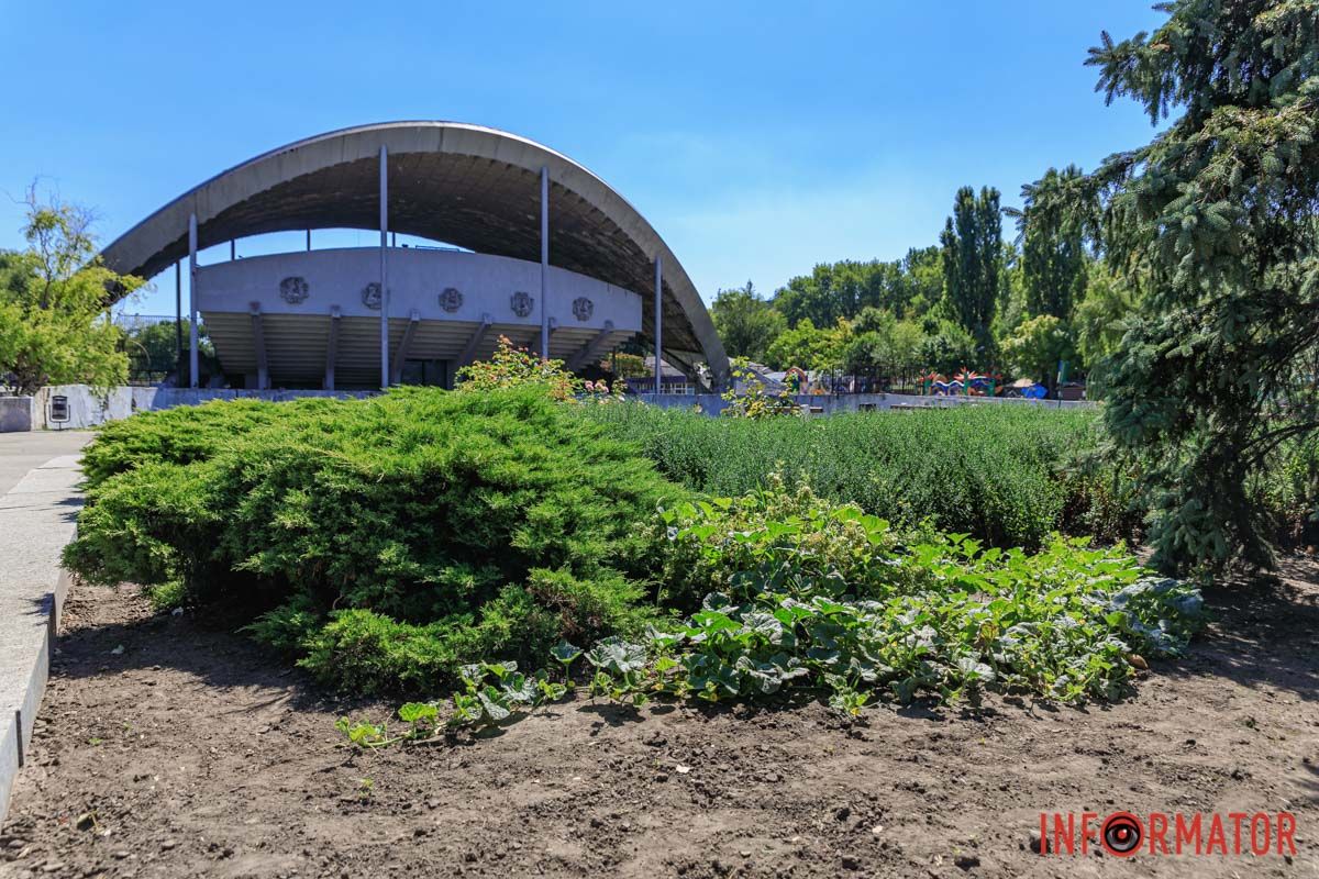Клумба В Днепре в парке Глобы на грядке заметили тыквы и дыни 12