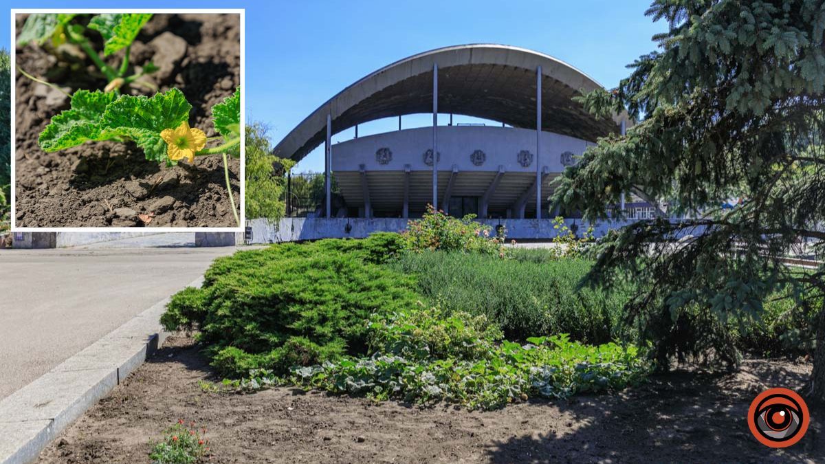 Погода на 18 серпня: у Дніпрі небо буде ясним