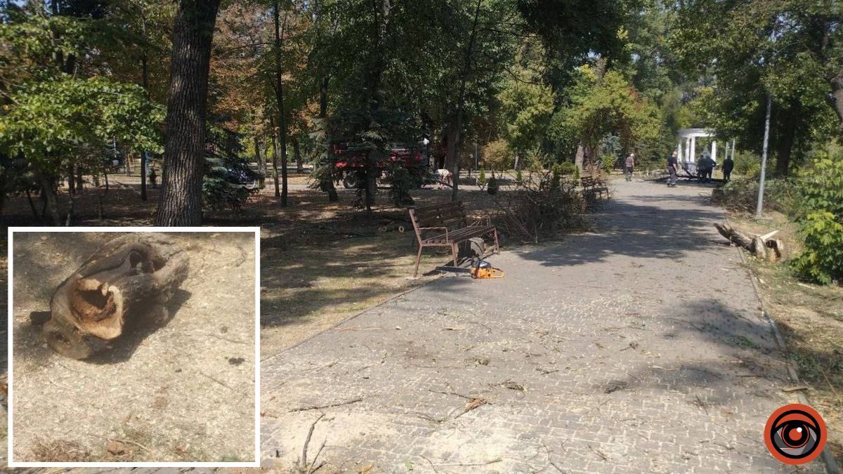 У Кривому Розі шершні напали на чоловіка: він помер