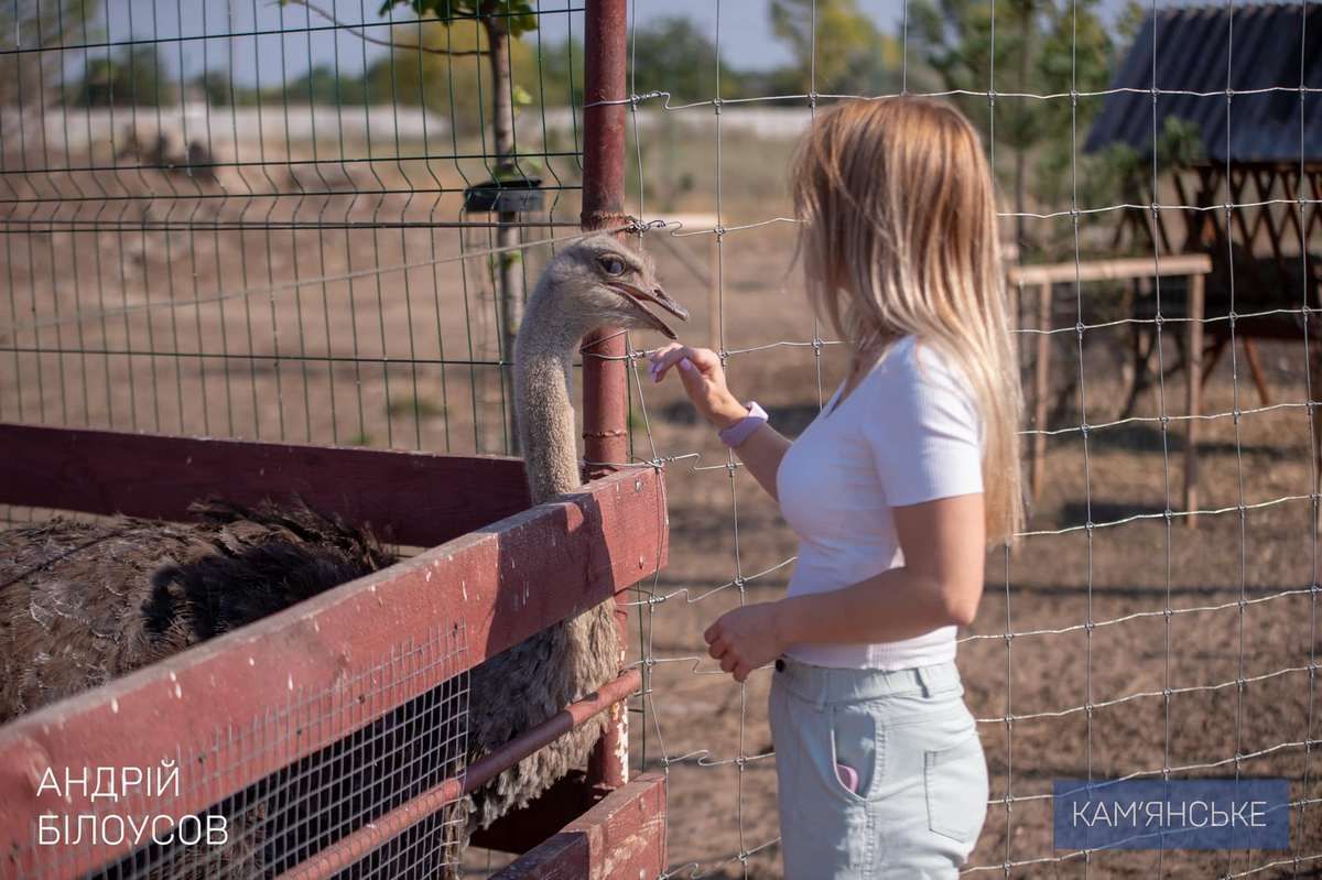 «Підтримка ветеранів»: для Захисників з Кам’янського та їх родин організували поїздку на кінну ферму 4