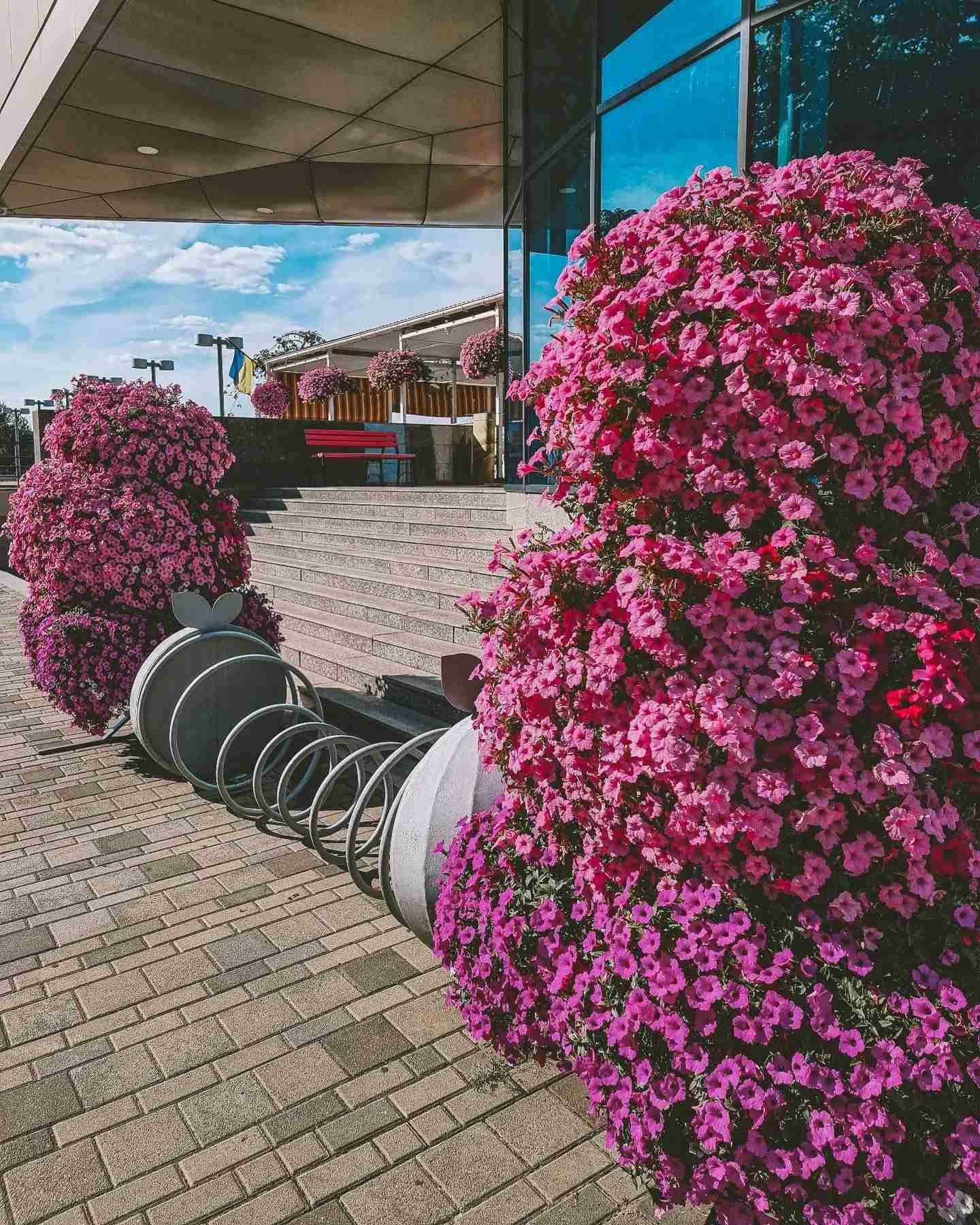 photoaddict_tais photoaddict_tais