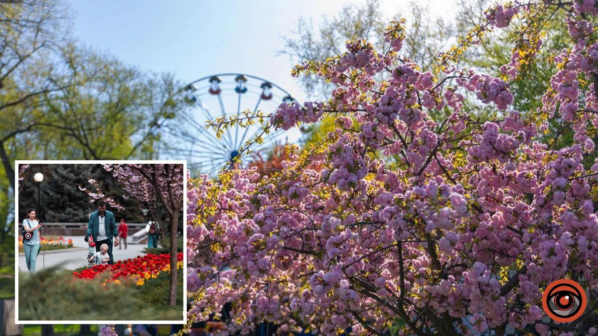 Погода на 25 серпня: у Дніпрі вдень буде ясно, ввечері – хмарно