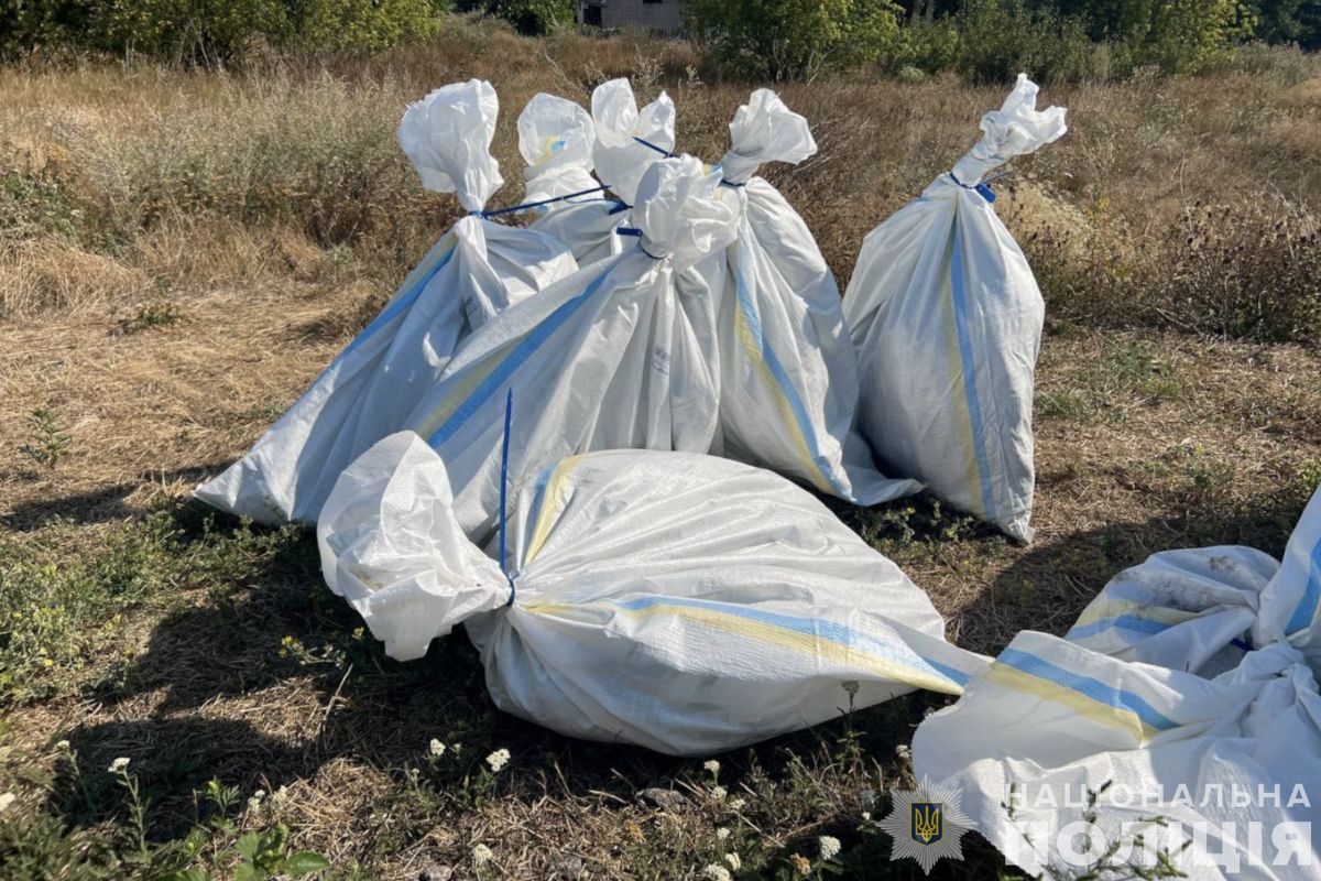 Учасники банди можуть провести у тюрмі до 12 років з конфіскацією майна Вони можуть провести у тюрмі до 12 років з конфіскацією майна