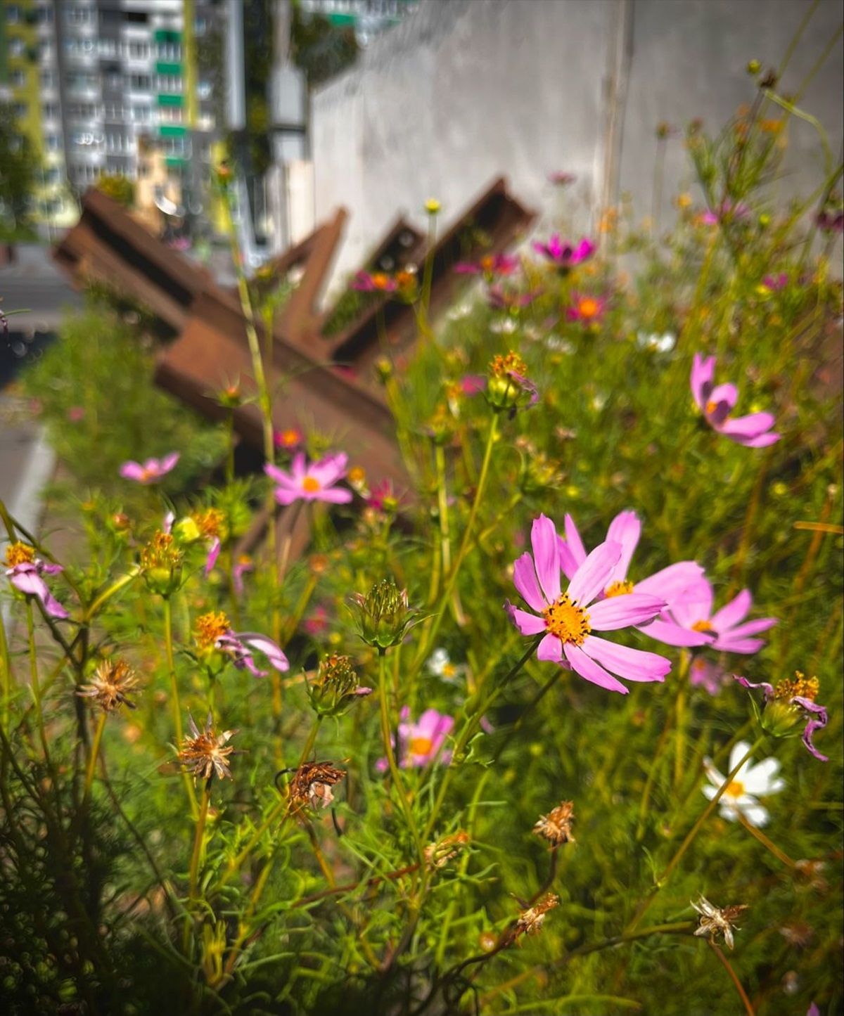 Фото: @olga._.nedeloff Фото: @olga._.nedeloff