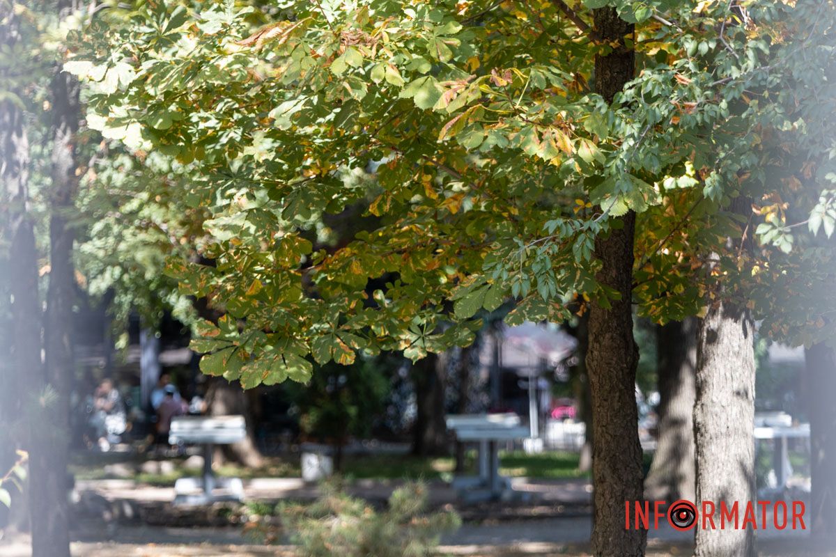 Улицы города освещены ярким солнцем