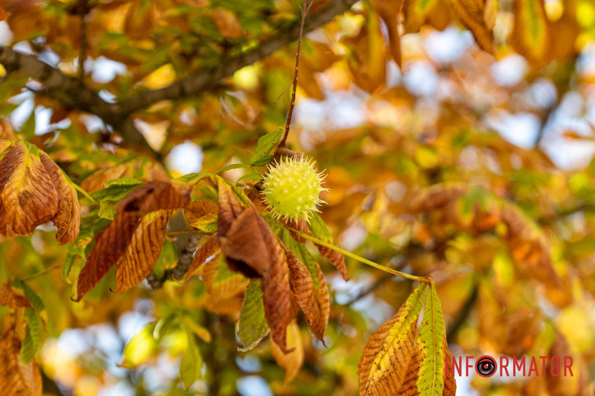 Это лето было разным для каждого: кому-то оно принесло новые впечатления, а кто-то провел его в привычном ритме жизни
