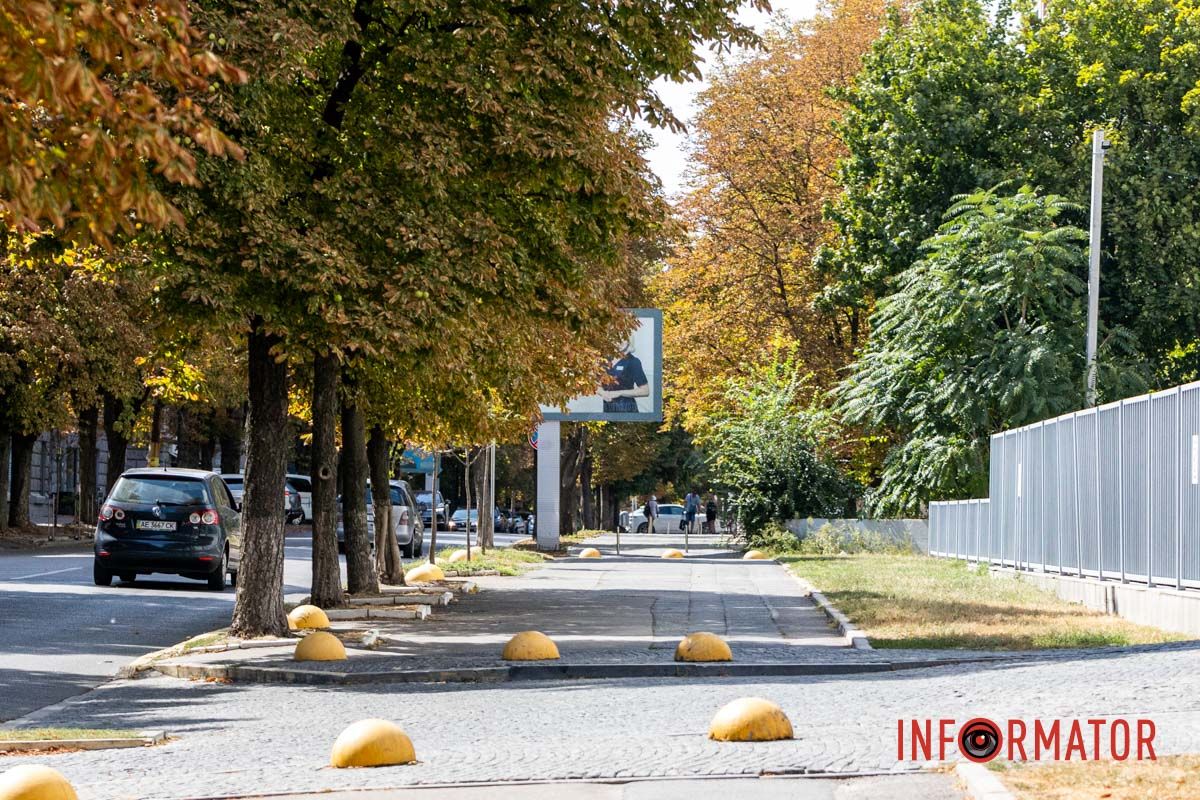 Цветы продолжают дарить днепрянам удовольствие их красоты