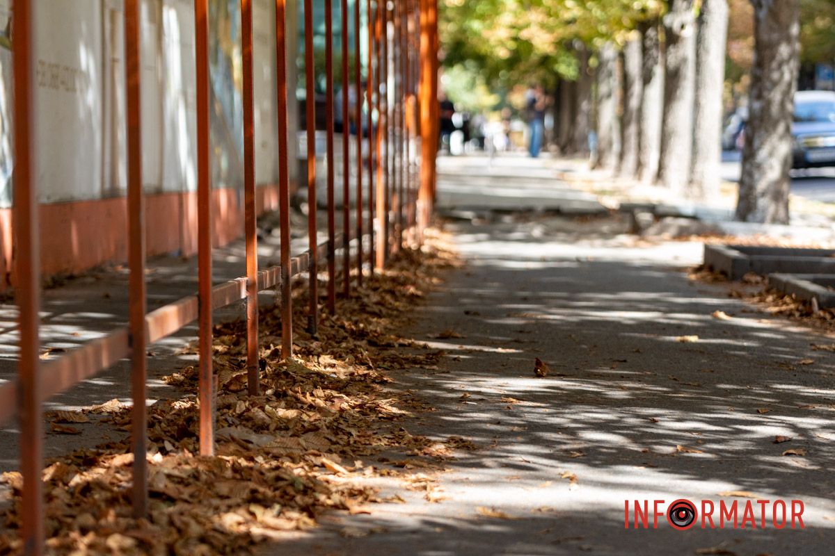 Опавшие листья