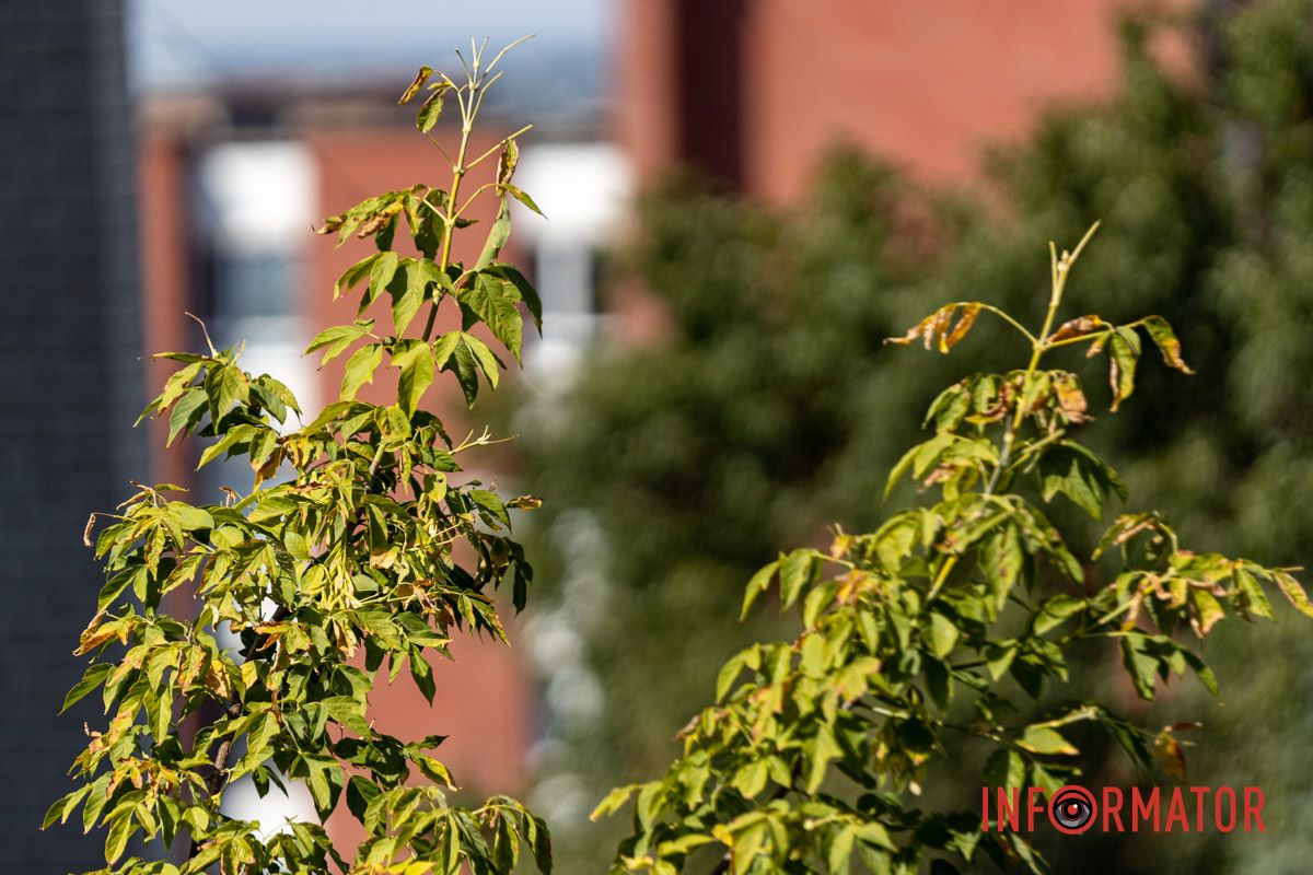 Последний день августа