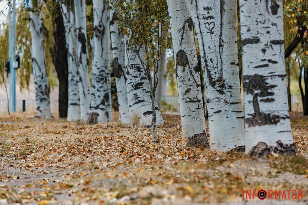 У кожної пори року є свій шарм