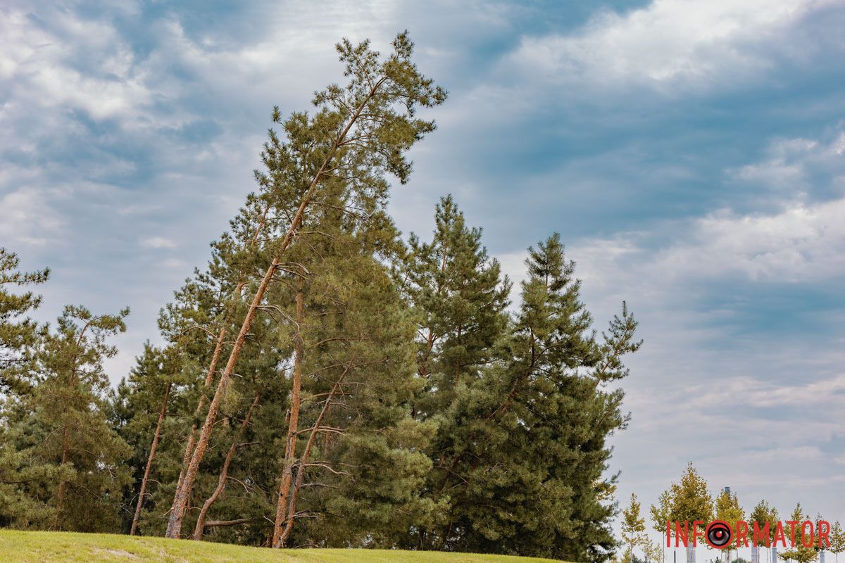 Фото: Андрій Шушпан